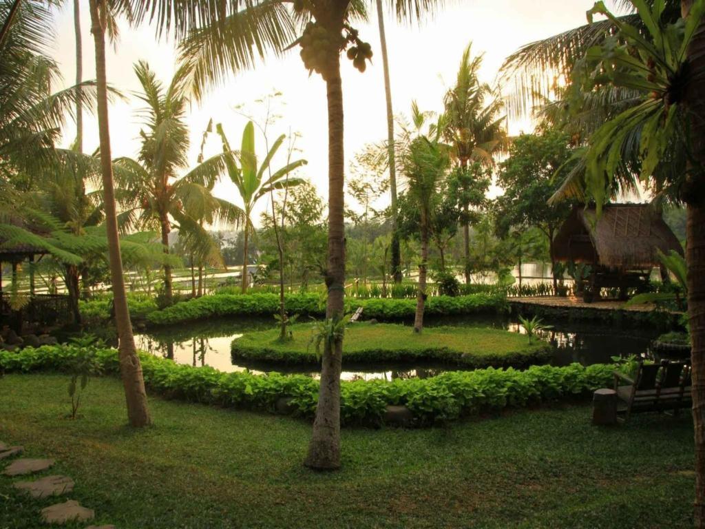 Omah Apik Hotell Ubud Exteriör bild