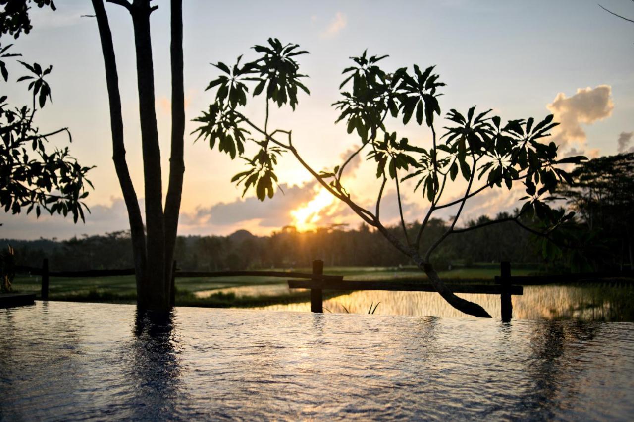 Omah Apik Hotell Ubud Exteriör bild