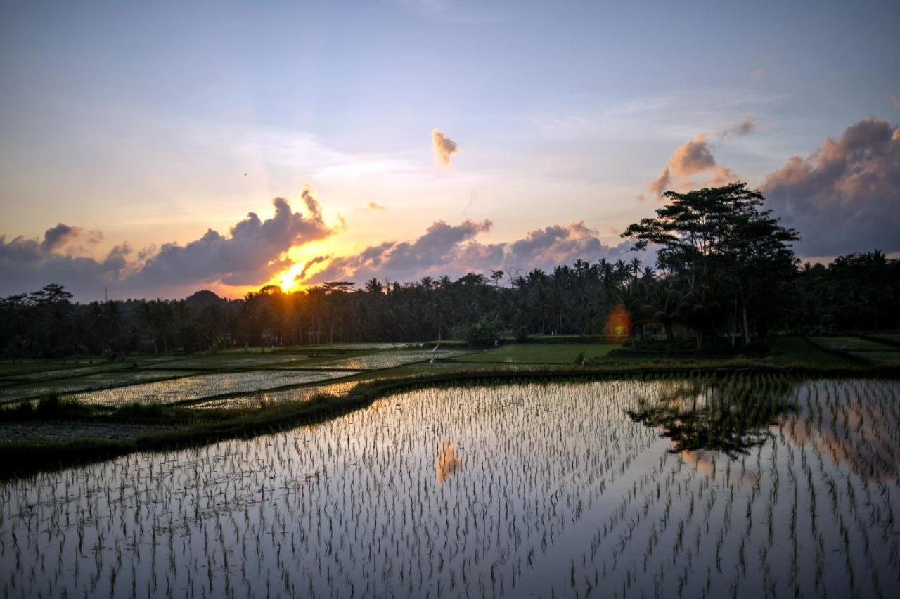 Omah Apik Hotell Ubud Exteriör bild
