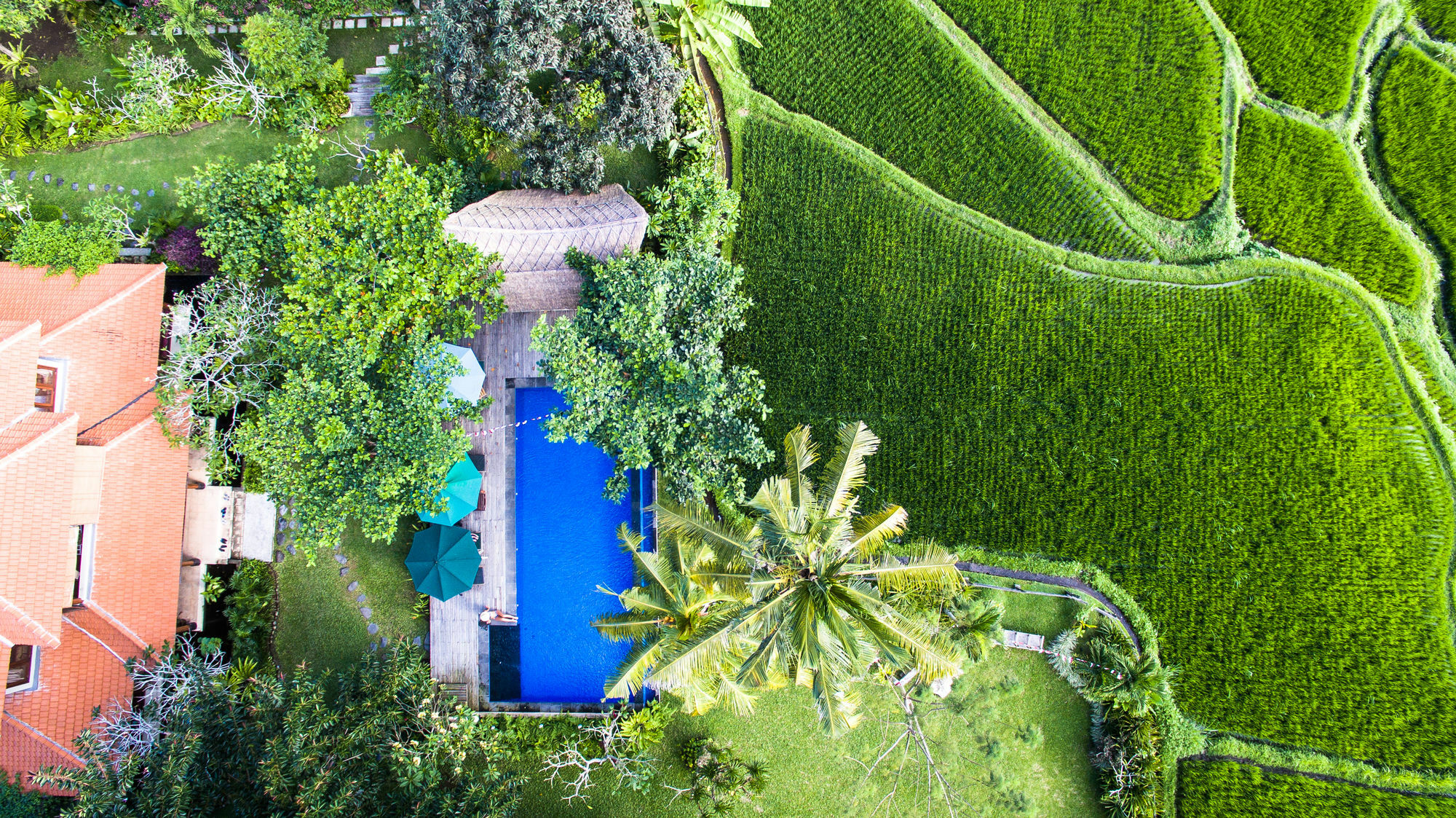 Omah Apik Hotell Ubud Exteriör bild